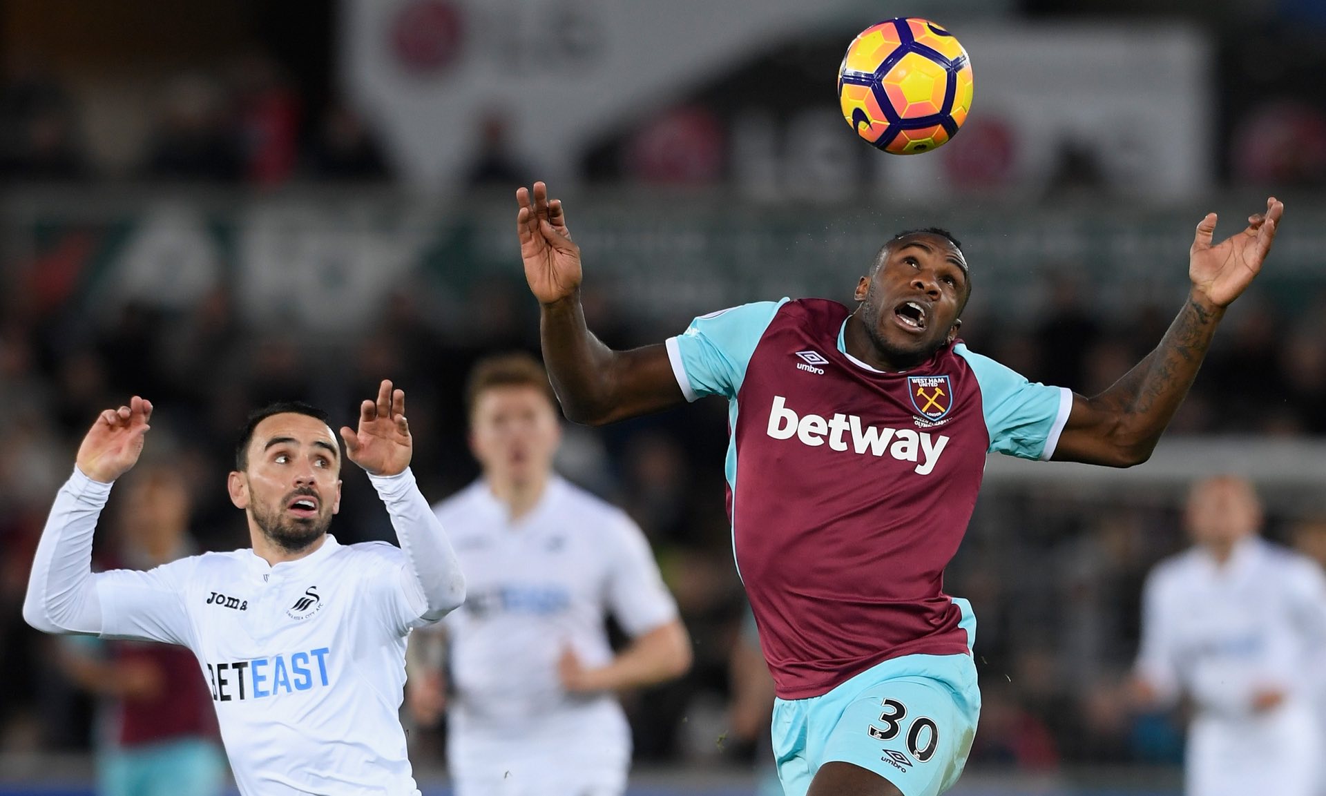 不少人可能 不少人可能